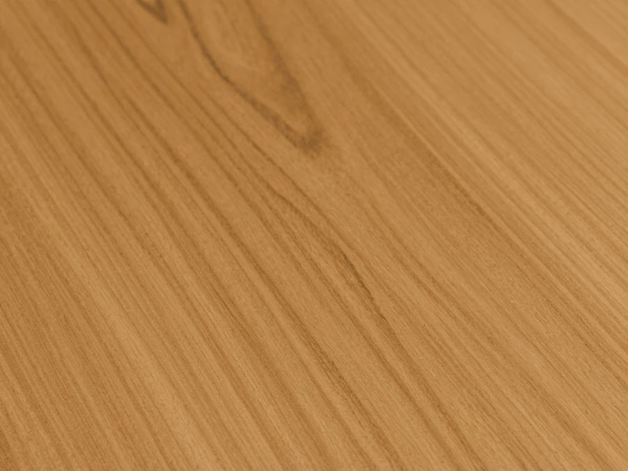 Burma Teak timber log section