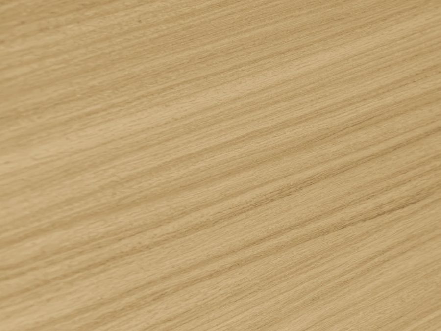 Sal timber log section