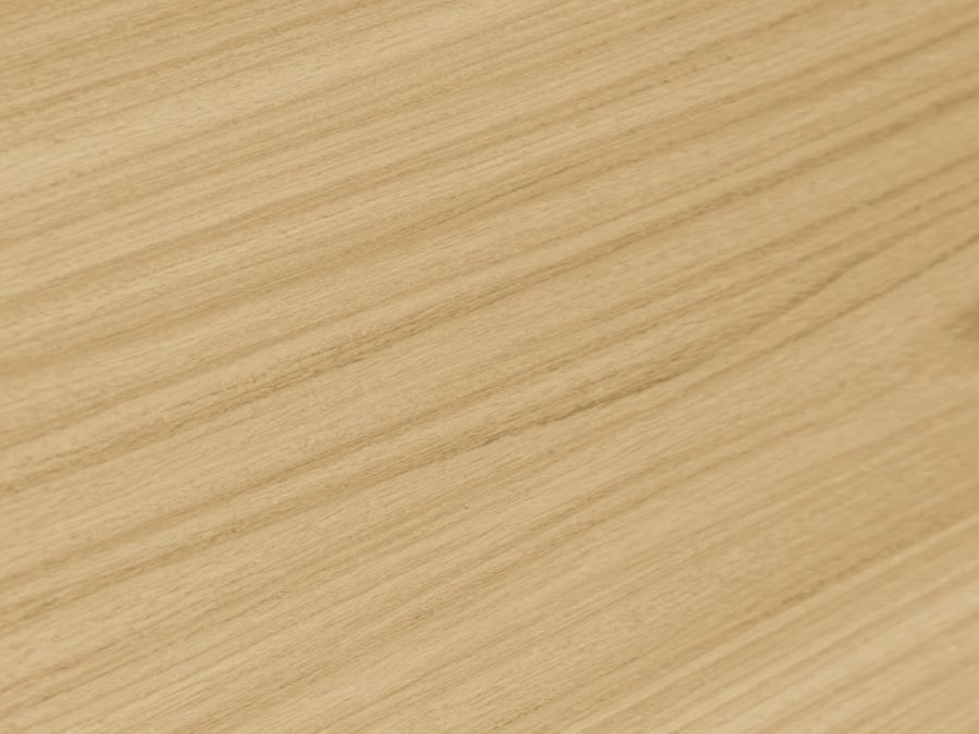 Sal (Assam) timber log section